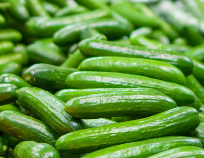 Cucumber