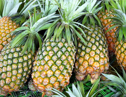 Pine Apple