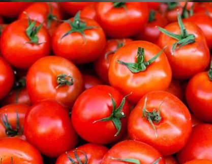 Tomato